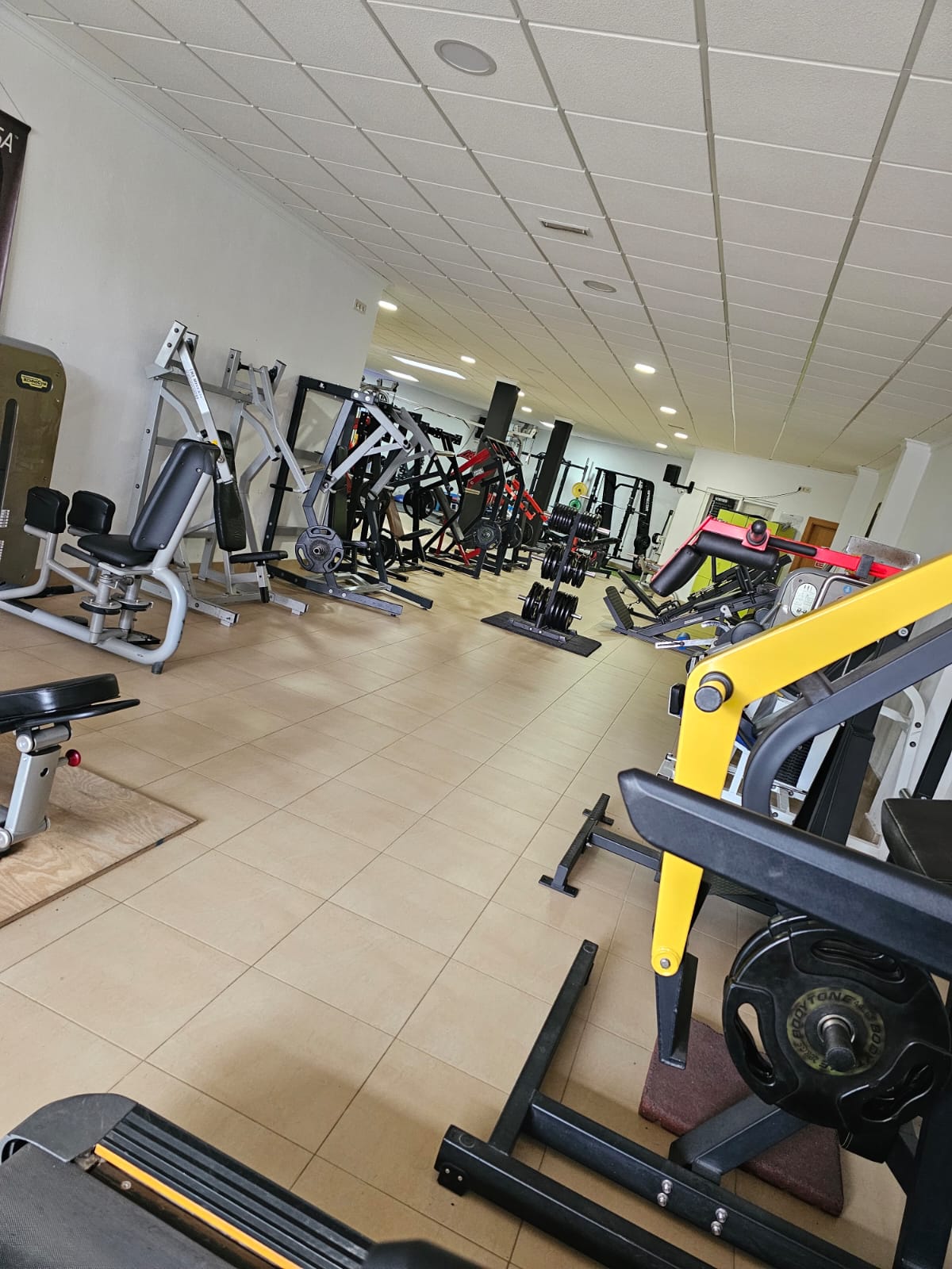 Interior Iron House Gym